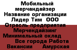 Мобильный мерчандайзер › Название организации ­ Лидер Тим, ООО › Отрасль предприятия ­ Мерчендайзинг › Минимальный оклад ­ 17 500 - Все города Работа » Вакансии   . Амурская обл.,Благовещенск г.